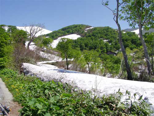 初夏の月山