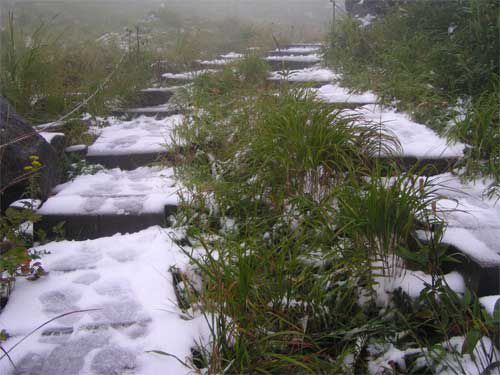 初冠雪に遭遇