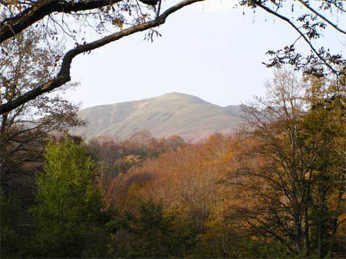 晩秋の湯殿山