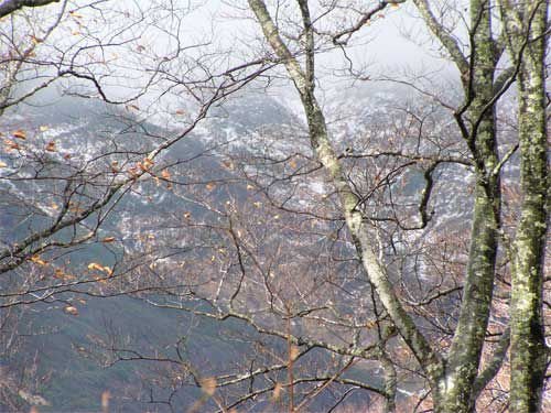 湯殿山東斜面は雪ひだが