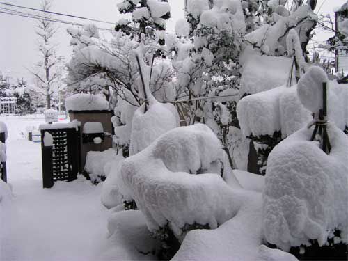 定点積雪