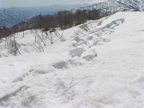 雪庇