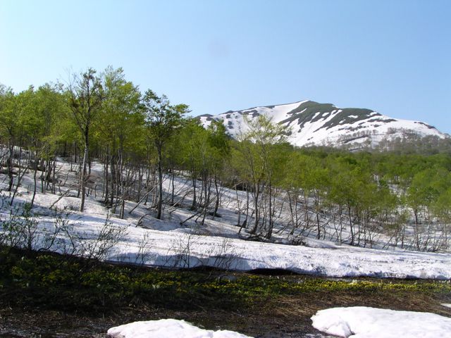 皮松谷地の南東側