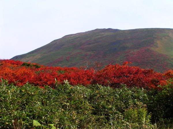 上駅を下りて月山を