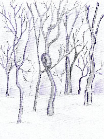 初冬の森