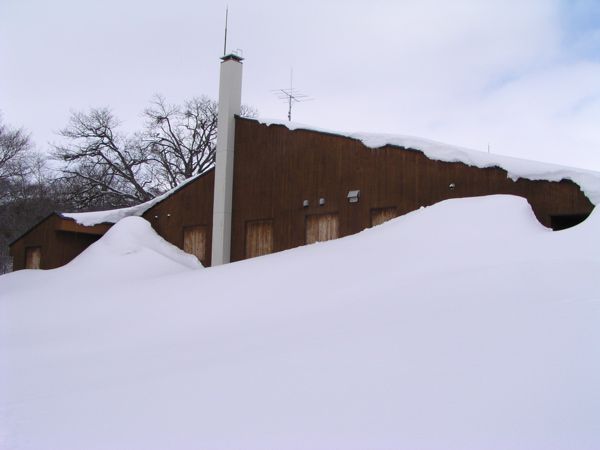雪の中のセンター