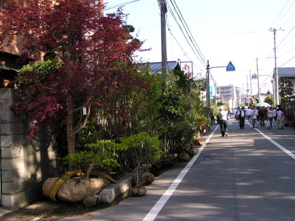 日本三大植木市