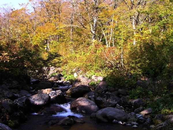 石跳川沿いの秋