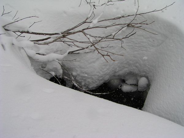 湧き水