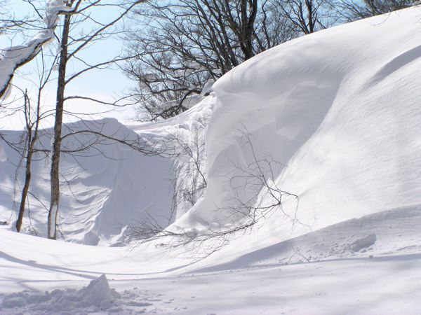 窪地あり