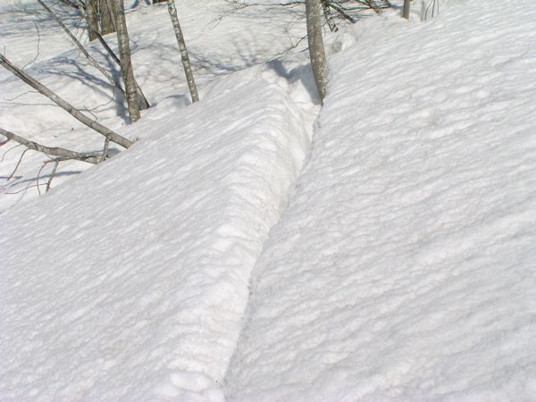 雪山で