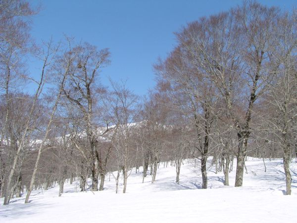 大門海平から　