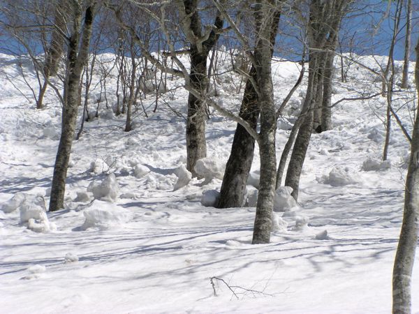 除雪