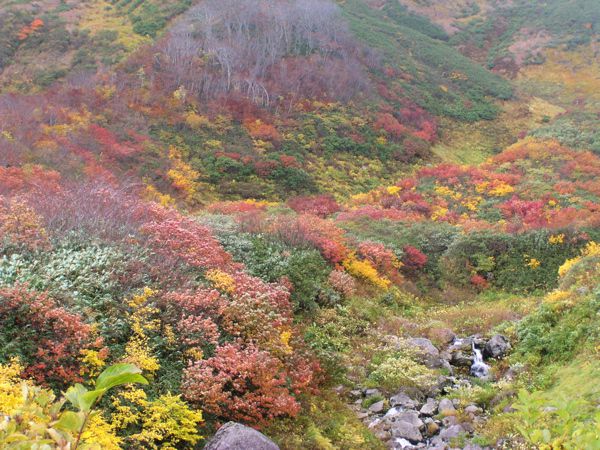 川沿い