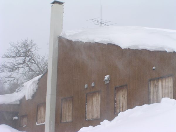 雪の中に