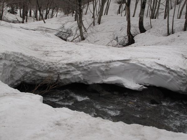 急速に雪解け