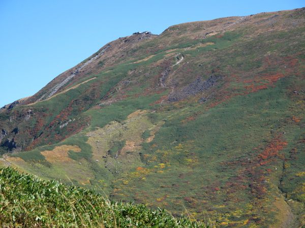 山頂を仰ぐ