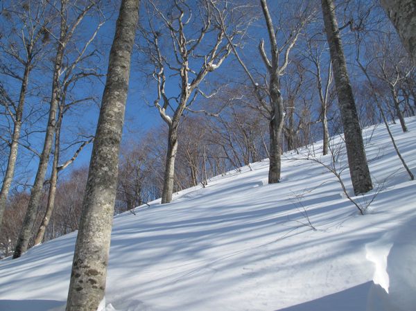 山スキーで