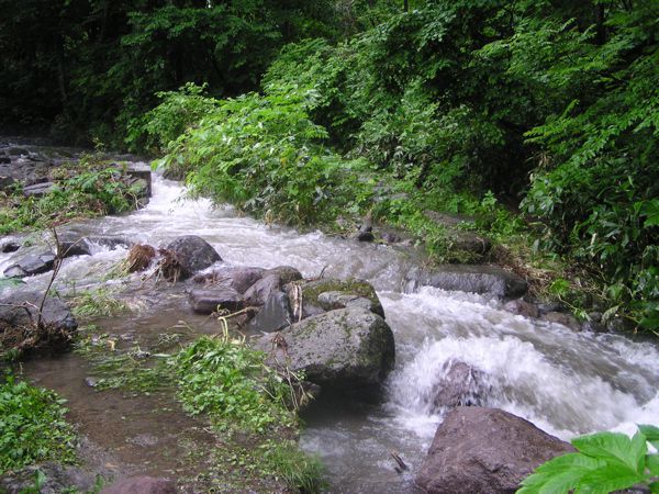 鉄砲水の威力