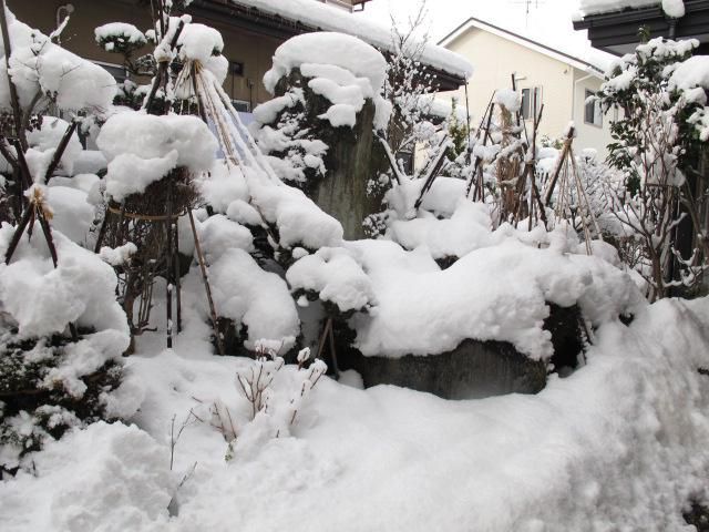 庭先の雪