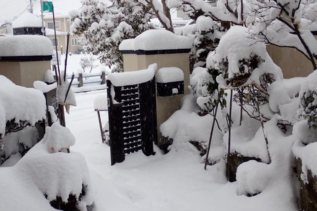 今年一番？我が家