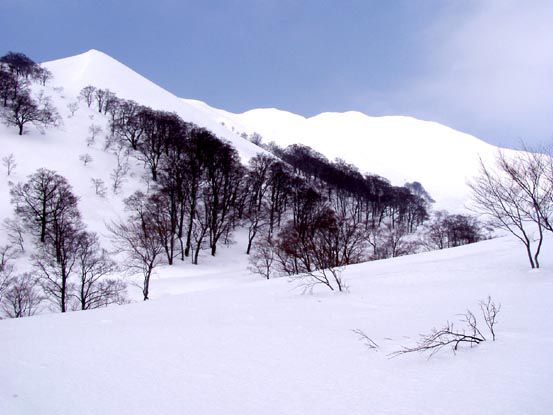 月山にも樹氷？　　(1)