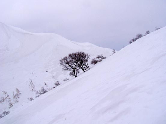 月山に樹氷？　　（2）