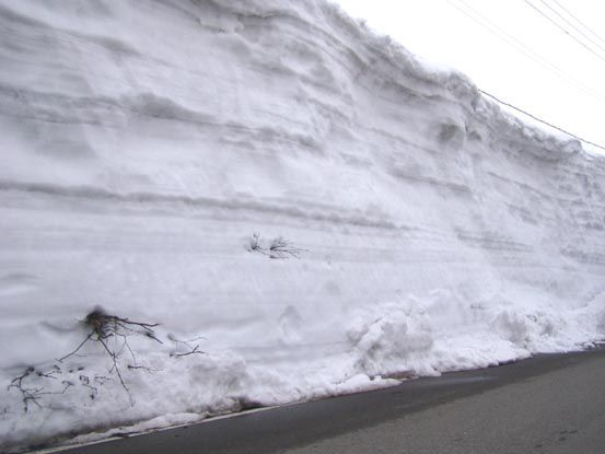 志津地区積雪