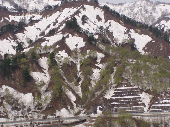 県立博物園今日オープン