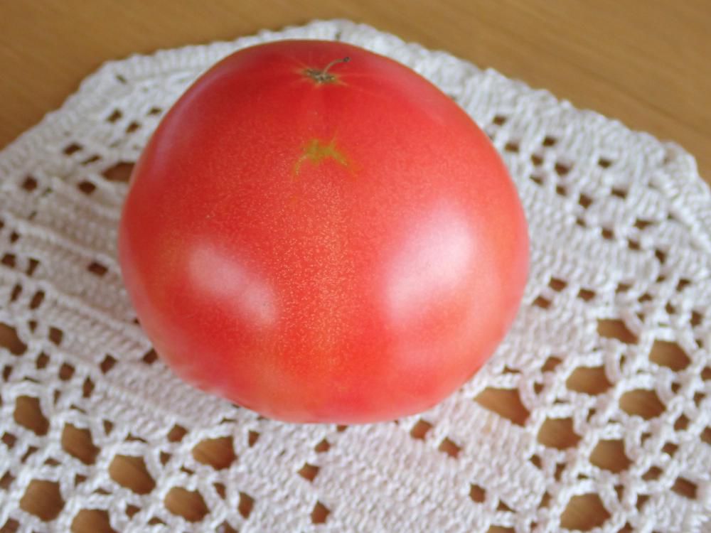 わが家のトマト