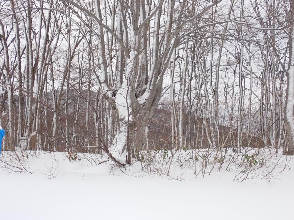 キズリ掛かりに心奪われて