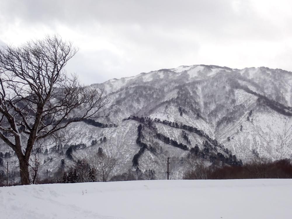 対岸に観る初冬の景色