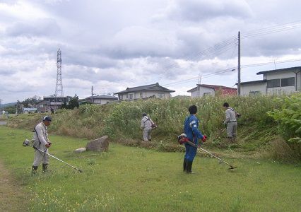 ボランティア活動報告。