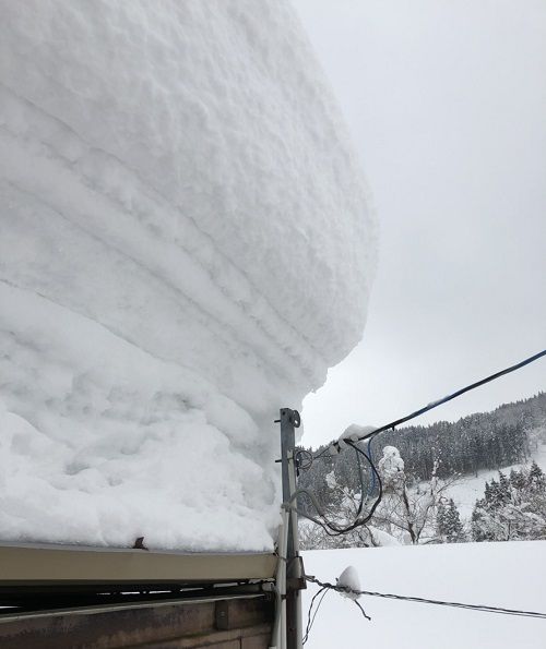 雪。大雪。
