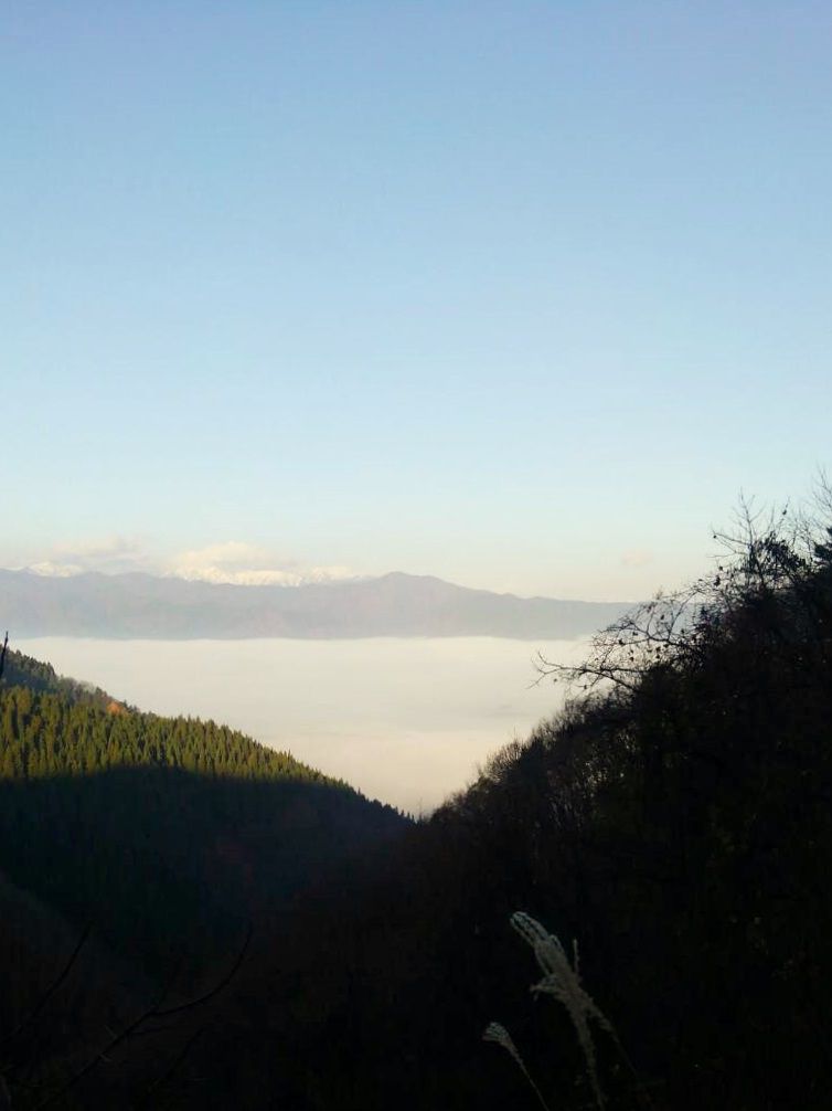 山形緑化！白鷹東部線の雲海