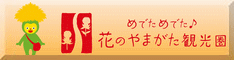 banner234x60.gif