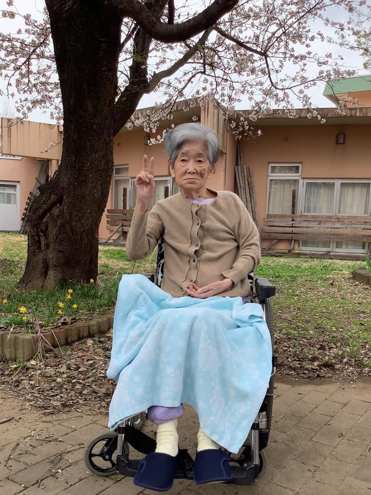 お花見