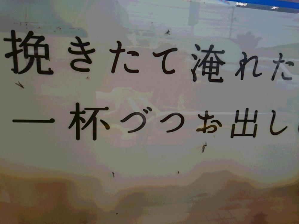 コーヒーを飲む　ひとつづつ　ひとつずつ