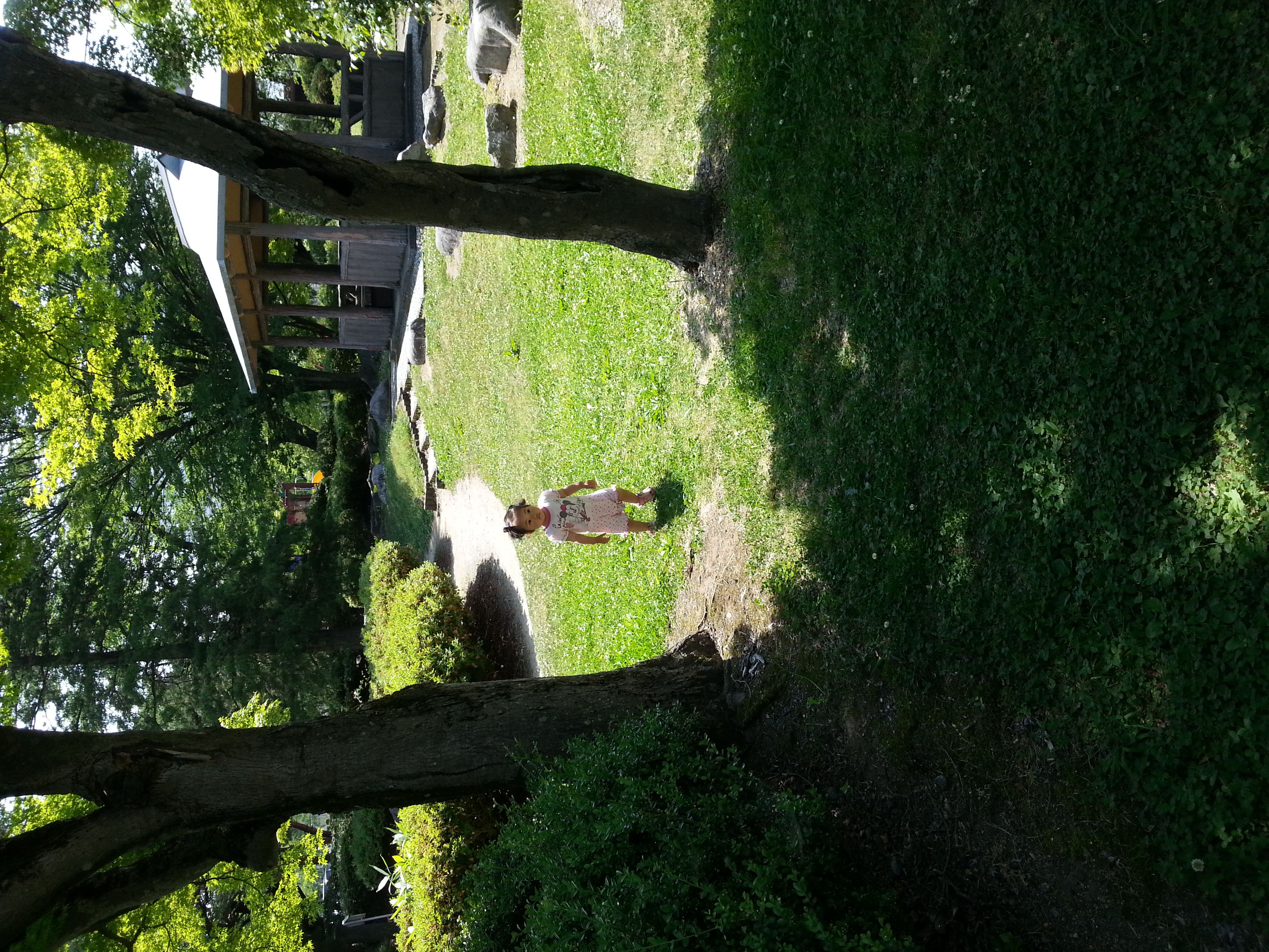 今日のお散歩はつつじ公園。