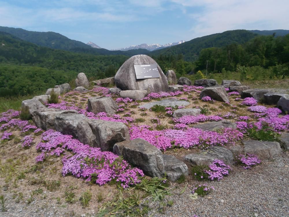 5月23日「水と緑の感謝祭」会場下見