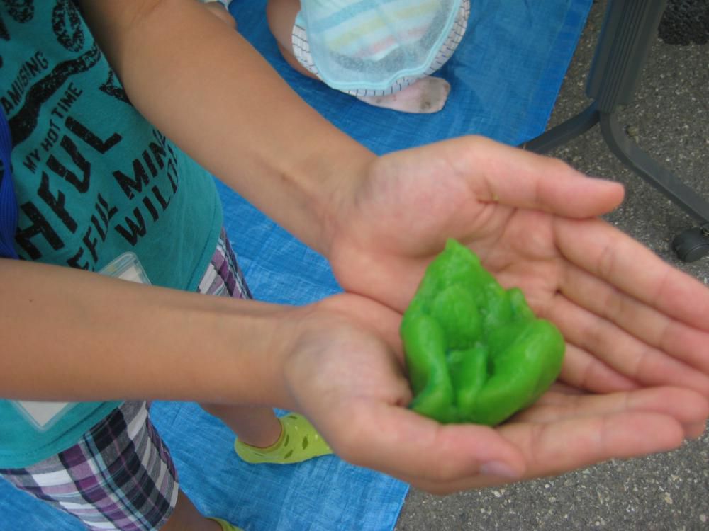 6月19日 ふるさと少年教室開催