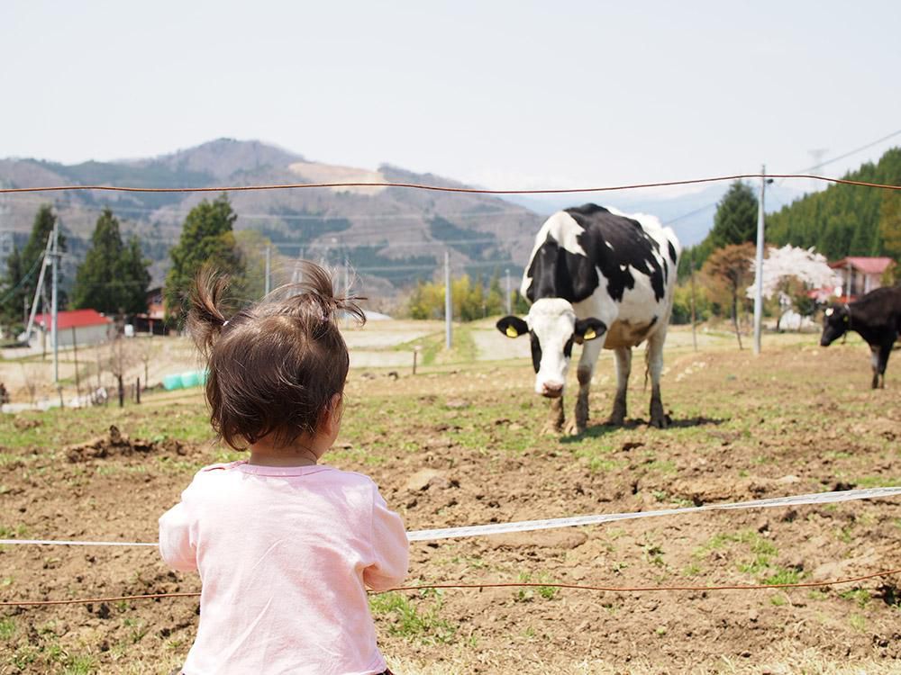 やまがた牧場めぐり《上山市》山川牧場