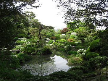 続 ツツジ開花