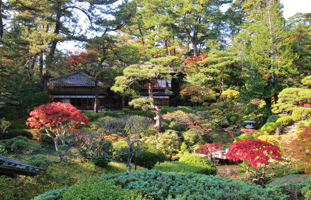 紅葉の庭園にぜひお越し下さい