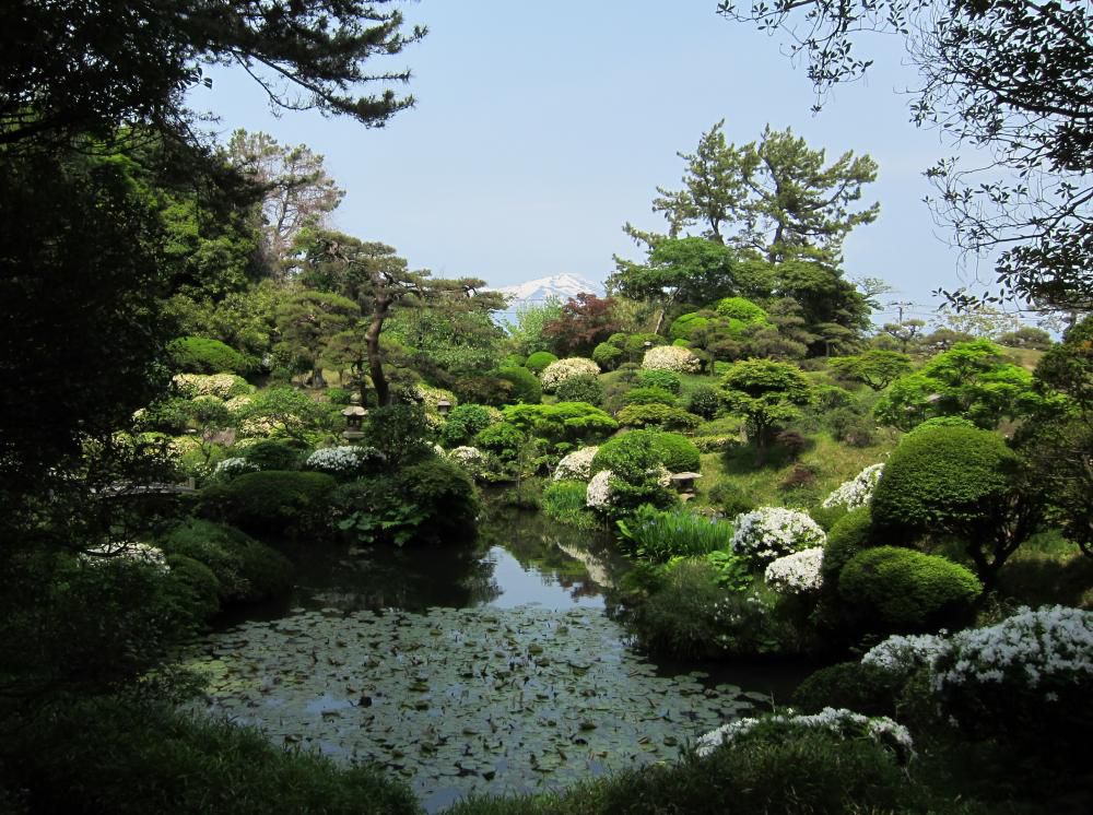 杜若の庭園と美術鑑賞はいかがですか？