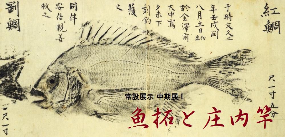 【開催】常設展　魚拓と庄内竿