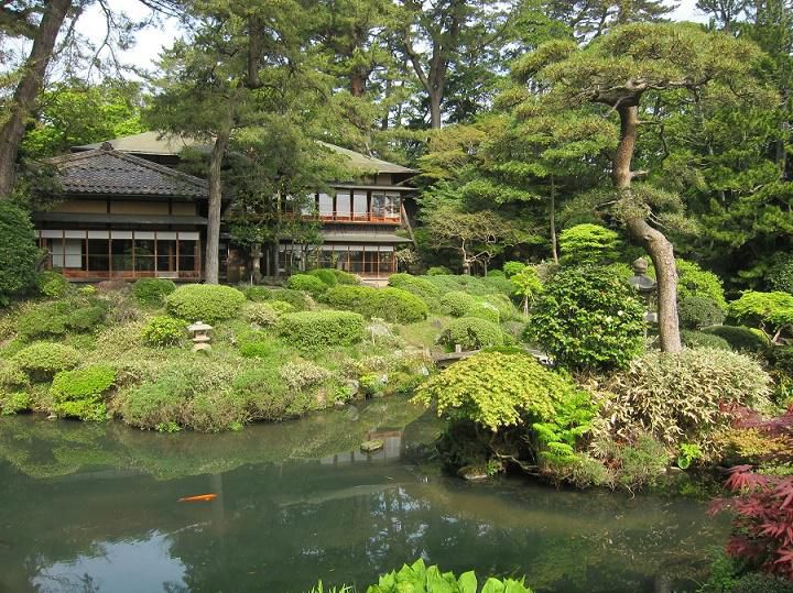 初夏の本間美術館へお越し下さい。