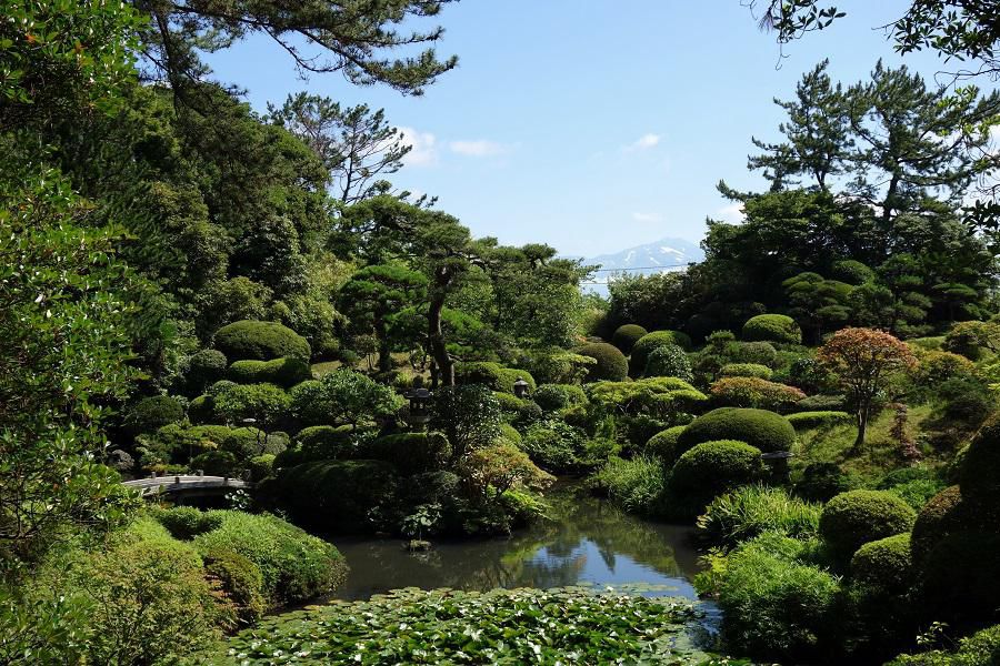 夏の本間美術館へお越し下さい。