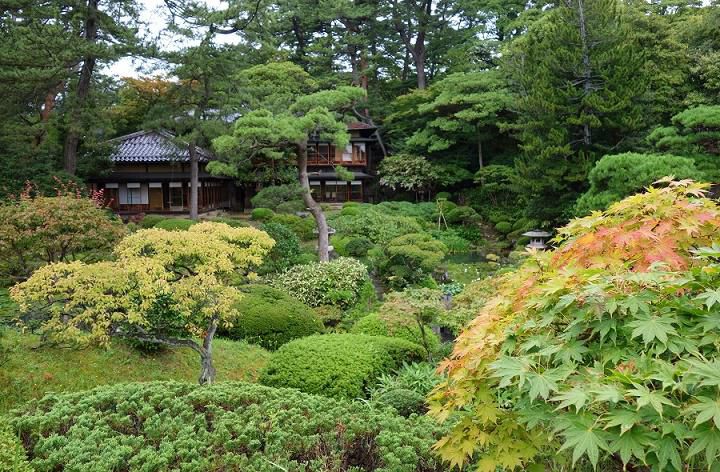 ようこそ、秋の本間美術館へ