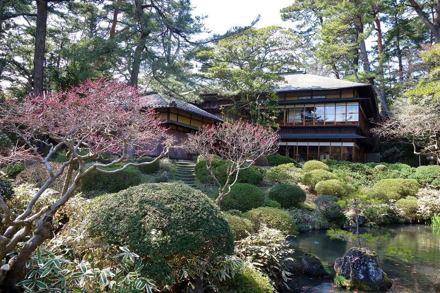 春の庭園をお楽しみ下さい。